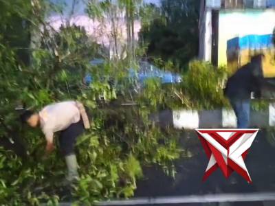 Kanit Reskrim Polsek Pagaralam Selatan Bersama Pak Bhabin Kel Nendagung Membersihkan Pohon Tumbang.