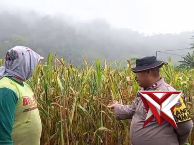 GIAT Ps KANIT BINMAS POLSEK TEMPUREJO