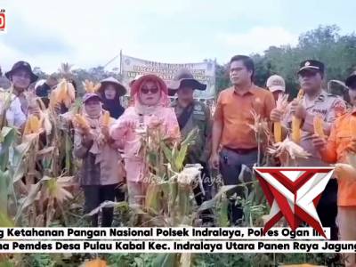 Bhabinkamtibmas polsek indralaya Panen jagung - PoliceTube