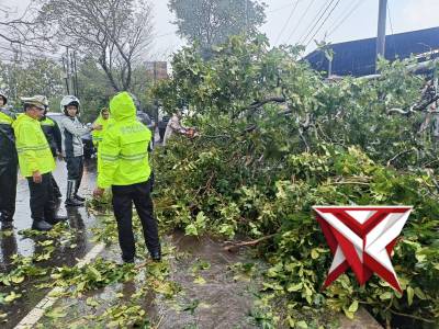 Sinergitas Polsek Cilimus, BPBD Kabupaten Kuningan Dan Masyarakat Sampora Evakuasi Pohon Tumbang