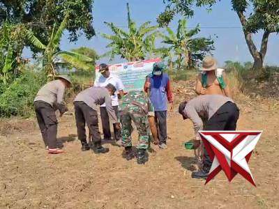 Anggota Polsek Sarirejo melaksanakan penanaman jagung dalam rangka program ketahanan pangan