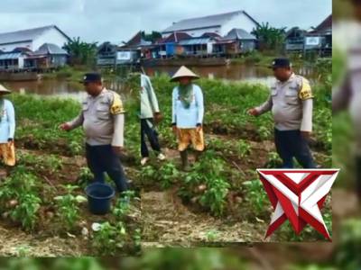 Pers Polsek Jejawi cek ketahanan Pangan perkarangan tanaman Cabe di Desa Air Itam OKI