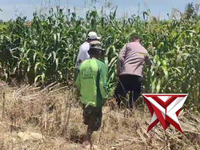 POLSEK BALONGPANGGANG: KETAHANAN PANGAN