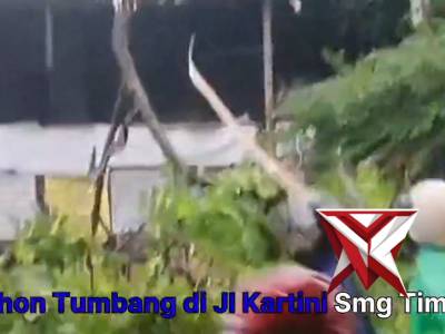 Polsek Semarang Timur Evakuasi Pohon Tumbang akibat Cuaca Ekstrem & Urai Kemacetan - PoliceTube