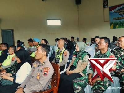 Penanaman jagung serentak