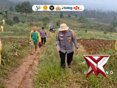 Penanaman jagung serentak kuartal I tahun 2026 polsek ibun polresta bandung