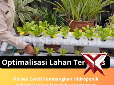 OPTIMALISASI LAHAN TERBATAS