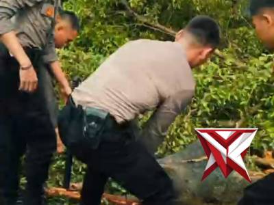 WARGA BERSYUKUR DENGAN AKSI SIGAP POLRI BANTU KEJADIAN POHON TUMBANG