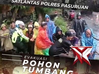SATLANTAS TANGGAP BENCANA EVAKUASI POHON TUMBANG
