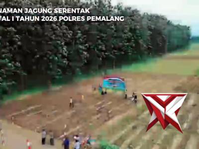 Penanaman Jagung Serentak Kuartal I Tahun 2026