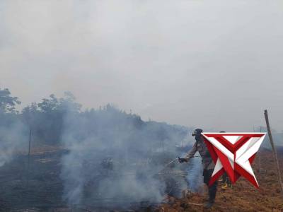Penanggulangan kebakaran hutan dan lahan di Kec.Pangkalan Lampam