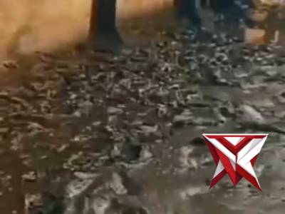 Gotong Royong Pulihkan SDN 5 Banjar Pasca Banjir Bandang