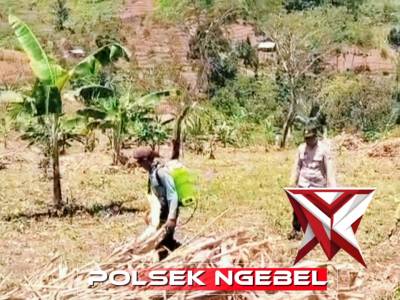 Penyiapan Lahan Jagung Kuartal I Polsek Ngebel Polres Ponorogo