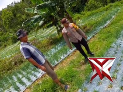 Bhabinkamtibmas Polsek Putri Betung melaksanaan kegiatan pemantauan ketahanan pangan masyarakat