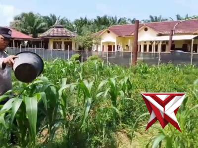 Ketahanan pangan - PoliceTube