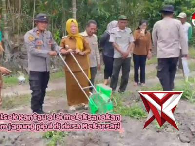 Giat tanam jagung polsek rantau alai