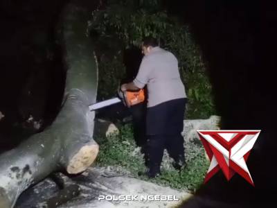 Anggota Polsek Ngebel Bersama Masyarakat Dan Inkait Melaksanakan Evakuasi Pohon Tumbang.