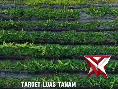Kapolri Pimpin Tanam Raya Jagung Kuartal I thn 2026 di Kab. Ogan Ilir Sumsel
