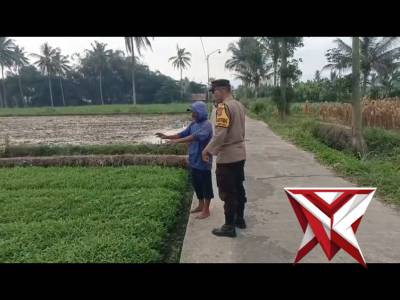 Kunjungan langsung yang dilakukan oleh petugas kepolisian (Bhabinkamtibmas) ke petani