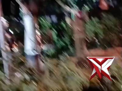 Evakuasi pohon tumbang