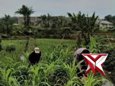 Wujud Nyata Polri Dukung Ketahanan Pangan Nasional Polsek Cilimus