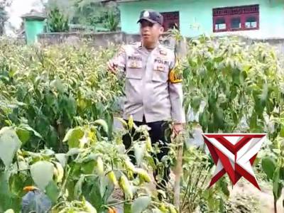 Ketahanan pangan - PoliceTube