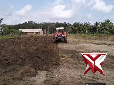 Persiapan lahan tanam jagung