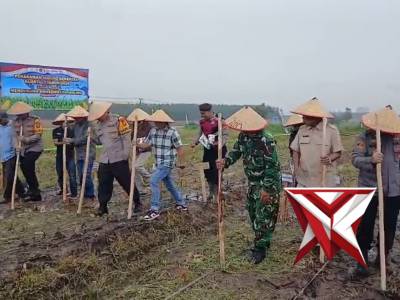 Kapolres Polres Lampung Selatan  bersama jajaran mengikuti kegiatan Penanaman Jagung Kuartal I