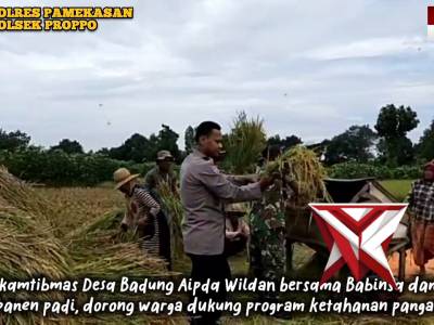 Bhabinkamtibmas bersama Babinsa bantu warga panen padi