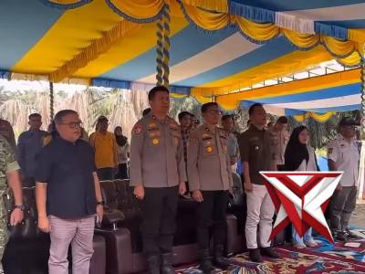 Penanam jagung serentak