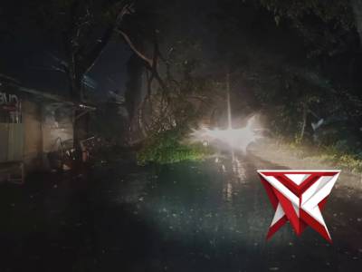 Akibat curah hujan deras dan angin kencang pohon tumbang di Desa Mangunrejo - PoliceTube