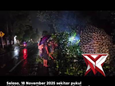 Waspada pohon tumbang ya lur..
Hindari berteduh dibawah Pohon saat hujan turun ???
.
.
.
Jika men