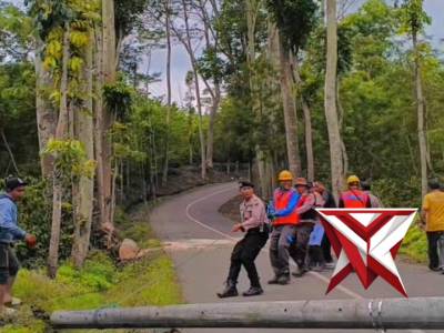 Bareng-Bareng Amankan Jalan Saat Tiang Listrik Tumbang