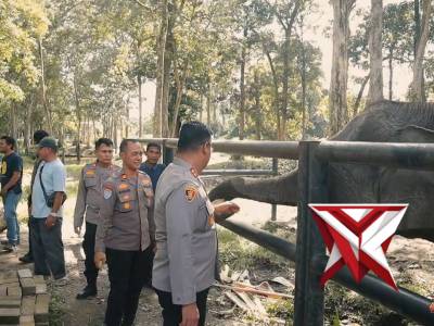 POLRES KAMPAR BERKUNJUNG MELOHAT GAJAH YANG ADA DIKAMPAR