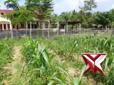 Kegiatan pesonil polsek pampangan