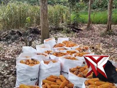 Polsek Sosoh Buay rayap