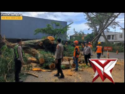 Piket patroli dan Lantas Mendatangi Tkp Pohon tumbang - PoliceTube
