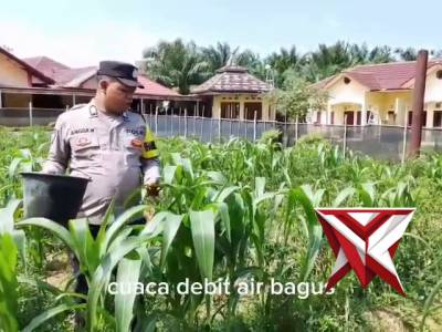 Kegiatan pesonil polsek pampangan