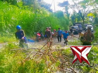 Demi Keamanan Lalu lintas Polsek Ngrayun bersama inkait lakukan pemangkasan Pohon lapuk.