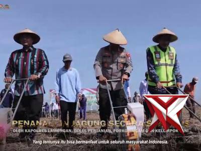 Penanaman Jagung di Lahan Baku Sawah guna mendukung Program Ketahanan Pangan Nasional