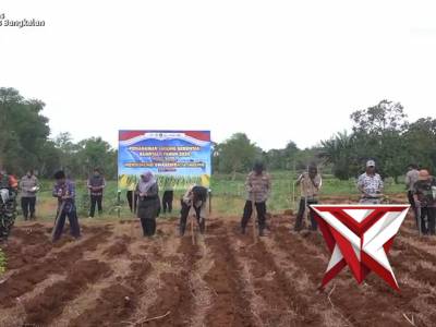 ZOOM MEETING PENANAMAN JAGUNG SERENTAK KUARTAL I TAHUN 2026