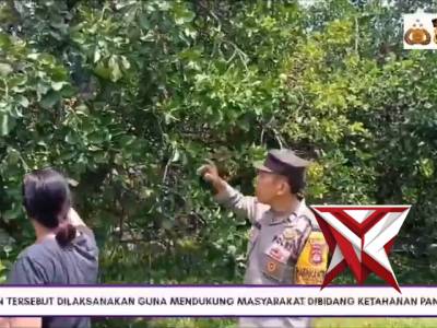 Swasembada Pangan Polsek Kuta Utara