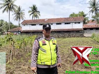 Polsek Prembun melaksanakan pengecekan dan perawatan tanaman jagung 11 Maret 2026
