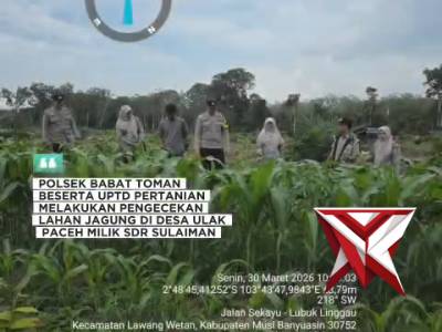 Pengecekan lahan jagung