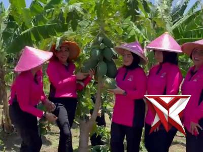 Panen Raya Di Lahan Ketahanan Pangan Batalyon B Pelopor Satbrimob Polda Jateng