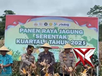 PANEN RAYA JAGUNG SERENTAK KUARTAL IV TAHUN 2025