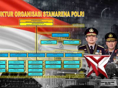 STRUKTUR ORGANISASI STAMARENA POLRI