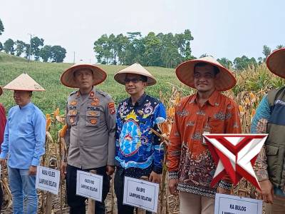 Panen Jagung Serentak Januari 2026 Polres Lampung Sleatan