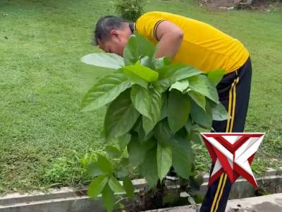 Hati yang bersih, lingkungan yang asri