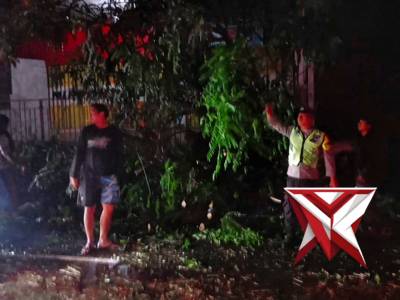 Petugas polsek pujon mendatangi TKP pohon tumbang